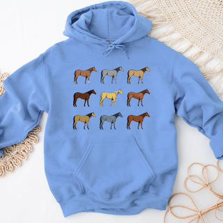 Horse Color Breeds – Hoodie