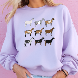 Dairy Goat Breeds – Crewneck