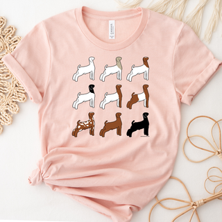 Show Goat – Bella Canvas T-Shirt