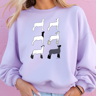 Market Lamb Breeds – Crewneck