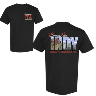 Greetings From Indy - Front & Back Comfort Colors T-Shirt