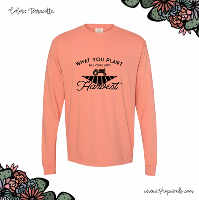 What You Plant Will Come Into Harvest LONG SLEEVE T-Shirt (S-3XL) - Multiple Colors!