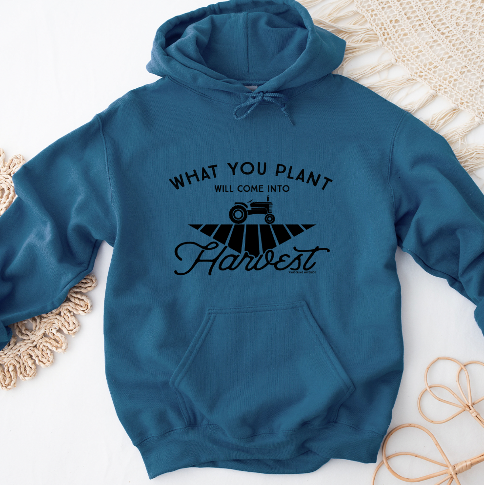 What You Plant Will Come Into Harvest Hoodie (S-3XL) Unisex - Multiple Colors!