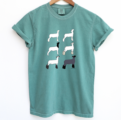 Market Lamb Breeds ComfortWash/ComfortColor T-Shirt (S-4XL) - Multiple Colors!
