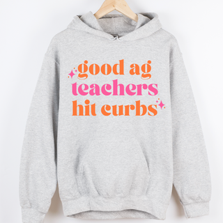 Good Ag Teachers Hit Curbs Pink and Orange– Hoodie