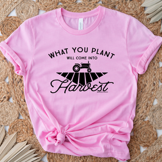 What you plant will come into Harvest– Bella Canvas T-Shirt
