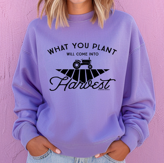 What you plant will come into Harvest– Crewneck