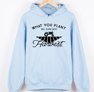 What you plant will come into Harvest– Hoodie