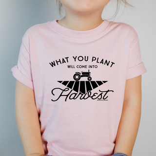 What you plant will come into Harvest – Infant/Toddler/Youth