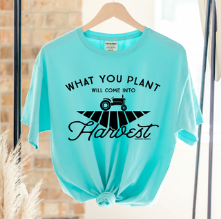 What you plant will come into Harvest– Comfort Colors T-Shirt
