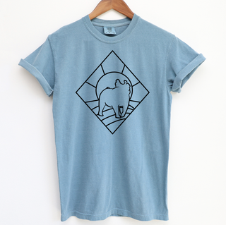 Stain Glass Pig– Comfort Colors T-Shirt