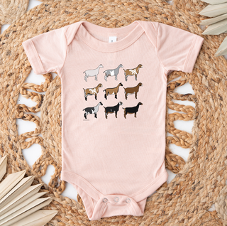 Dairy Goat Breeds– Infant/Toddler/Youth