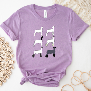 Market Lamb Breeds- Bella Canvas T-Shirt