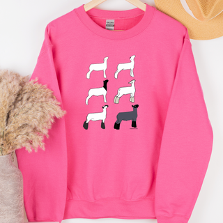Market Lamb Breeds– Crewneck