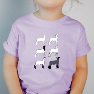 Market Lamb Breeds– Infant/Toddler/Youth