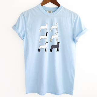 Market Lamb Breeds– Comfort Colors T-Shirt