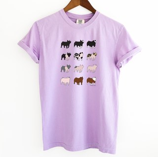 Pig Breeds– Comfort Colors T-Shirt