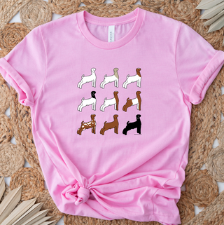 Show Goat Color Breeds- Bella Canvas T-Shirt