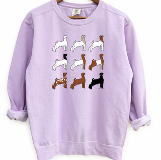 Show Goat Color Breeds– Crewneck