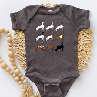 Show Goat Color Breeds– Infant/Toddler/Youth