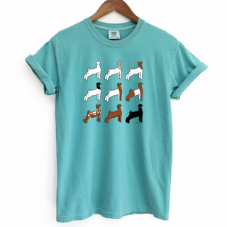 Show Goat Color Breeds– Comfort Colors T-Shirt
