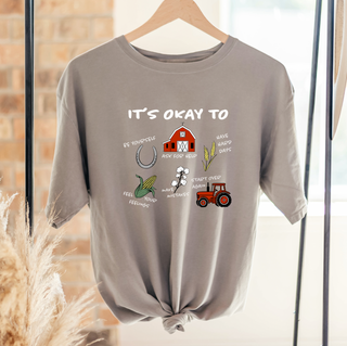 It's Okay To– Comfort Colors T-Shirt