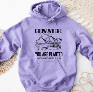 Grow Where You Are Planted Black Ink – Hoodie