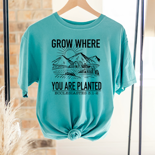 Grow Where You Are Planted Black Ink  – Comfort Colors T-Shirt