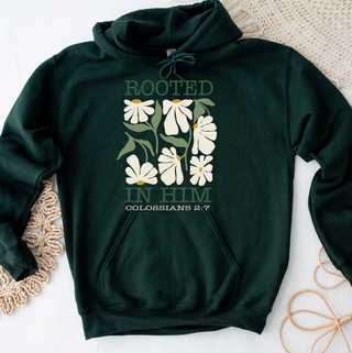 Rooted In Him – Hoodie