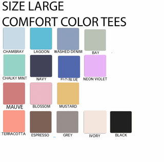 SIZE LARGE- COMFORT COLORS SHIRT SALE