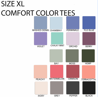 SIZE XL- COMFORT COLORS SHIRT SALE