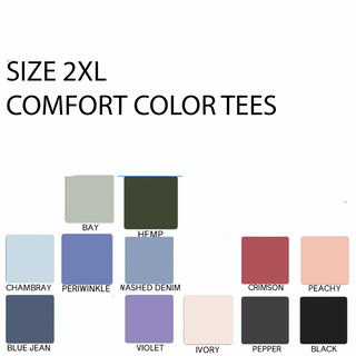 SIZE 2XL- COMFORT COLORS SHIRT SALE
