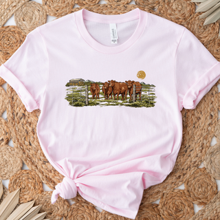 Red Angus On The Pasture- Bella Canvas T-Shirt