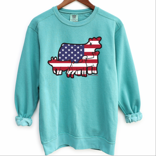 Patriotic Group – Crewneck