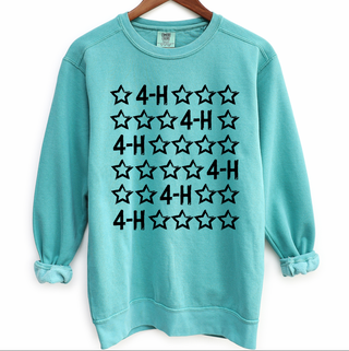 4-H Star Sketch – Crewneck