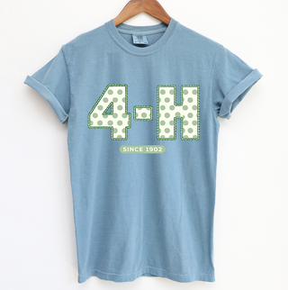 Sage Polka Dot – Comfort Colors T-Shirt