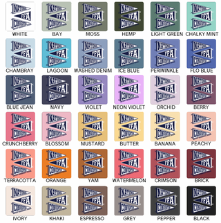 National FFA Pennant– Comfort Colors T-Shirt