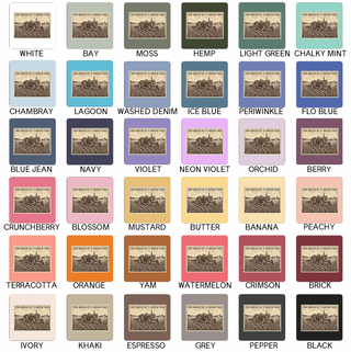 AAO American Soil Stamp– Comfort Colors T-Shirt - Front & Back