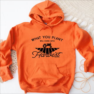 What You Plant Will Come Into Harvest – Hoodie