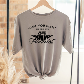 What You Plant Will Come Into Harvest – Comfort Colors T-Shirt