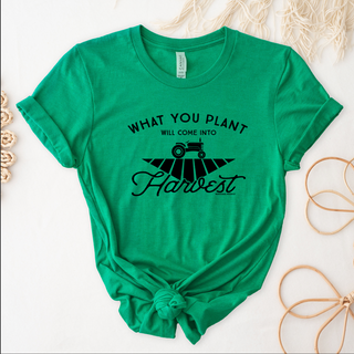 What You Plant Will Come Into Harvest – Bella Canvas T-Shirt