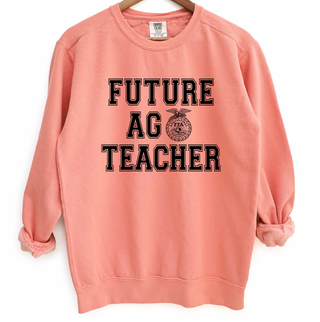 Future Ag Teacher – Crewneck