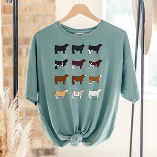 Steer Breeds – Comfort Colors T-Shirt