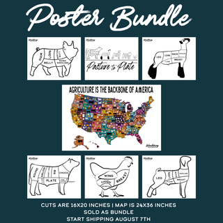 Poster Bundle | SHIPS AUG 7TH