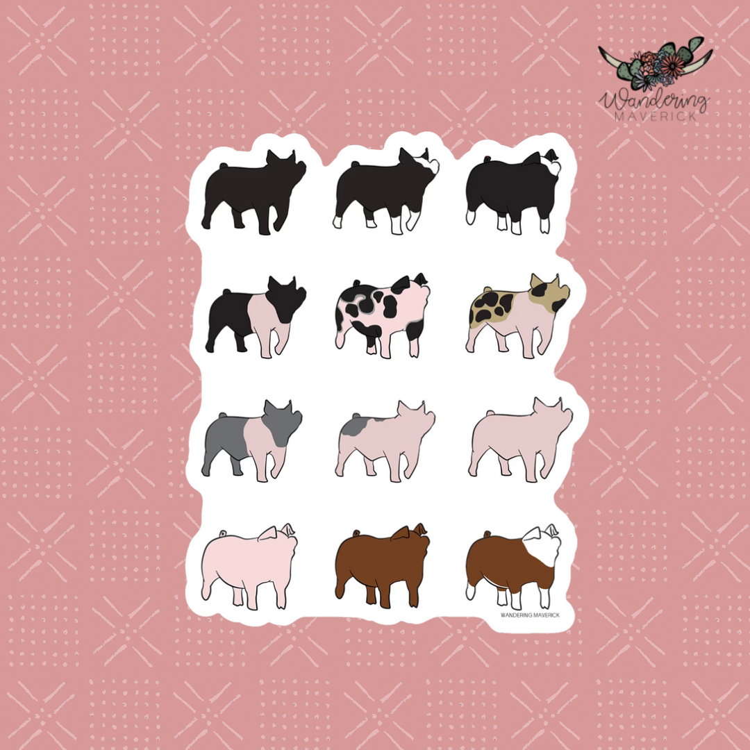 Pig Breeds Sticker