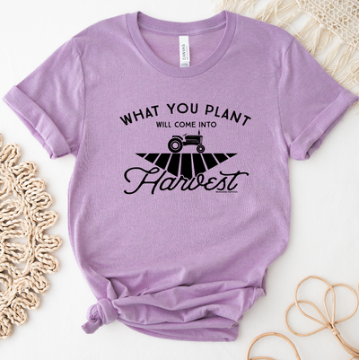 What You Plant Will Come Into Harvest T-Shirt (XS-4XL) - Multiple Colors!