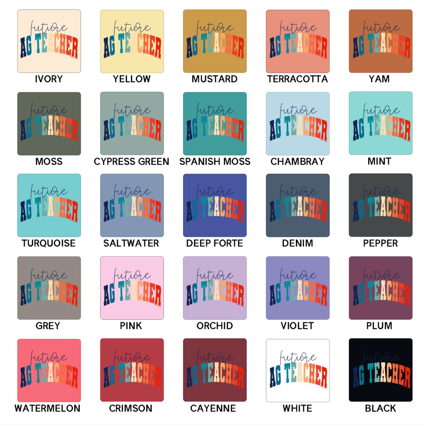 Varsity Future Ag Teacher Color ComfortWash/ComfortColor T-Shirt (S-4XL) - Multiple Colors!