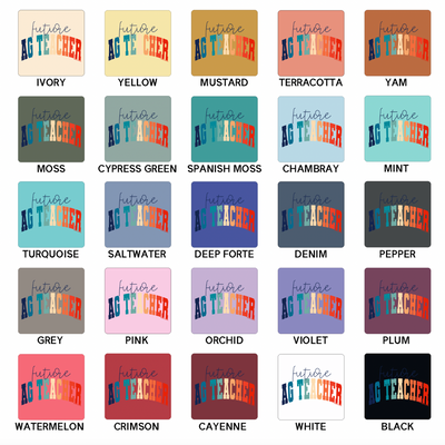 Varsity Future Ag Teacher Color ComfortWash/ComfortColor T-Shirt (S-4XL) - Multiple Colors!