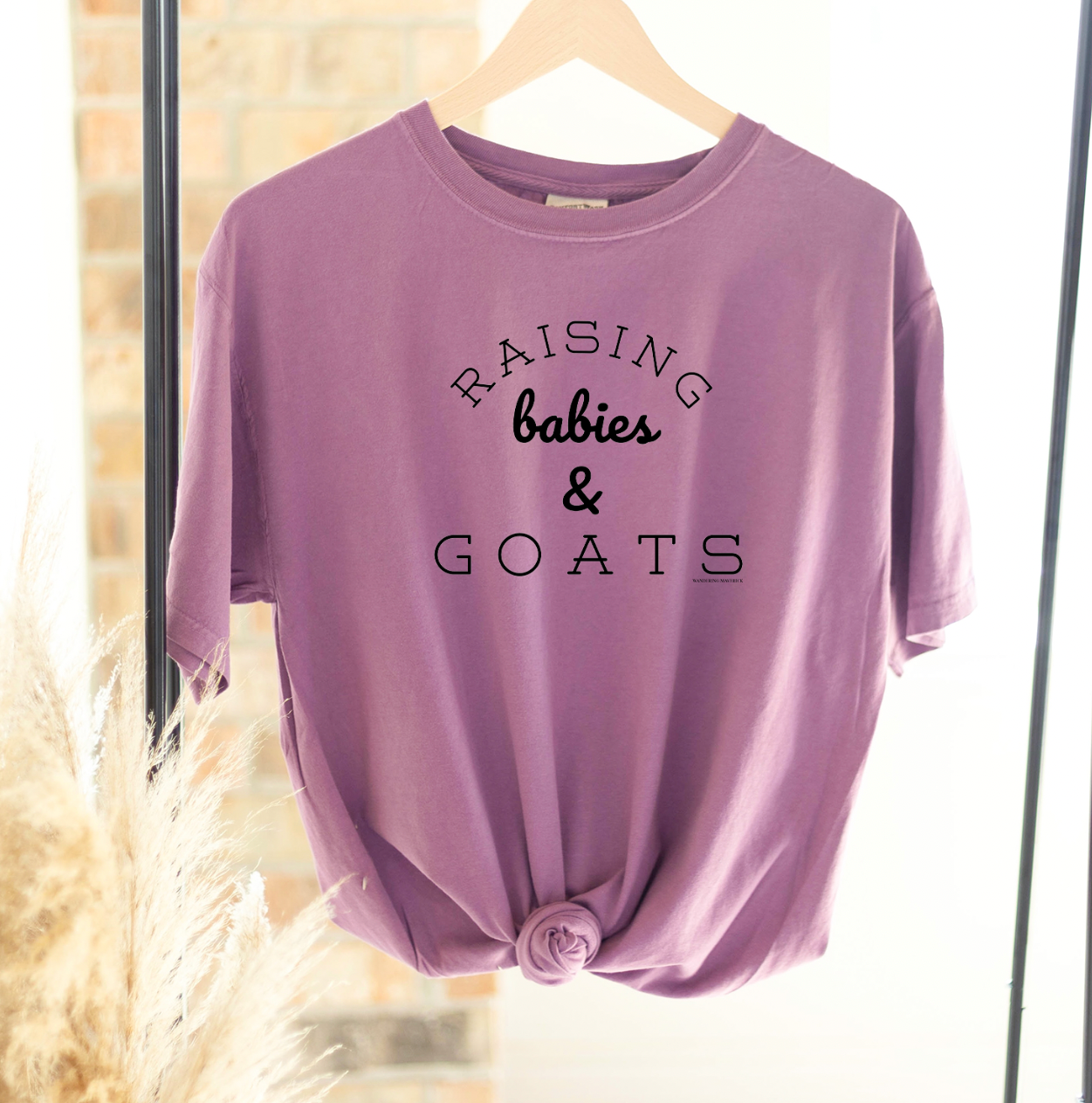 Raising Babies and Goats ComfortWash/ComfortColor T-Shirt (S-4XL) - Multiple Colors!